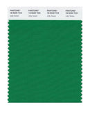 Pantone Smart 18-6030 TCX Color Swatch Card | Jolly Green