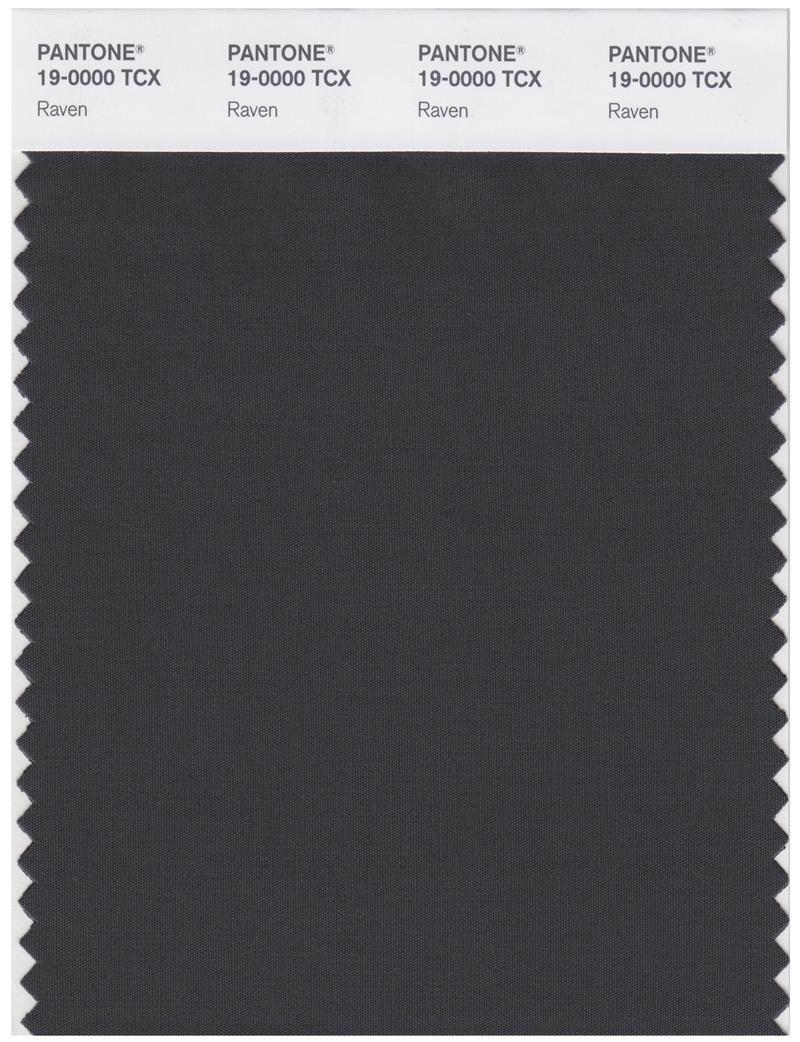 Pantone Smart 19-0000 TCX Color Swatch Card | Raven