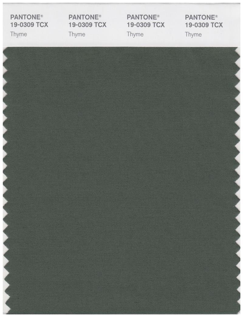 Pantone Smart 19-0309 TCX Color Swatch Card | Thyme