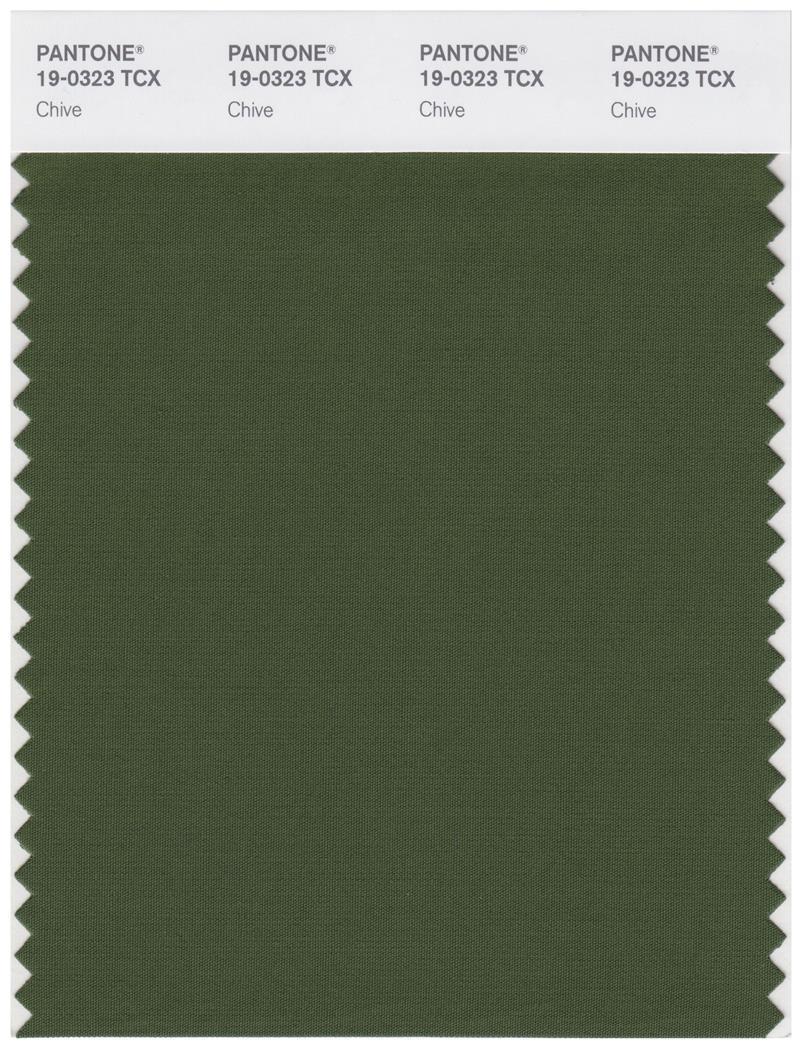 Pantone Smart 19-0323 TCX Color Swatch Card | Chive