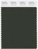 Pantone Smart 19-0417 TCX Color Swatch Card | Kombu Green