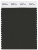 Pantone Smart 19-0509 TCX Color Swatch Card | Rosin