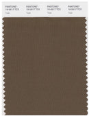 Pantone Smart 19-0617 TCX Color Swatch Card | Teak