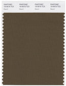 Pantone Smart 19-0618 TCX Color Swatch Card | Beech