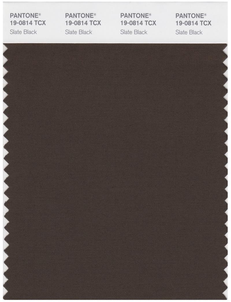 Pantone Smart 19-0814 TCX Color Swatch Card | Slate Black