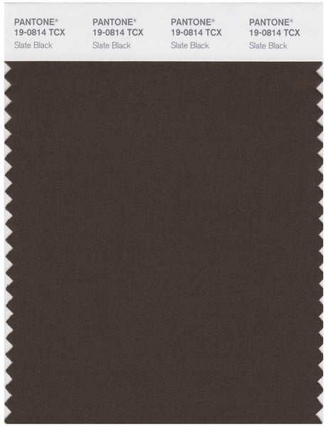 Pantone Smart 19-0814 TCX Color Swatch Card | Slate Black