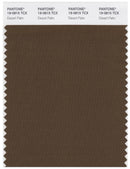 Pantone Smart 19-0815 TCX Color Swatch Card | Desert Palm