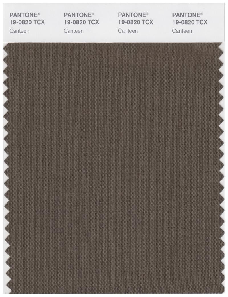 Pantone Smart 19-0820 TCX Color Swatch Card | Canteen | Magazine