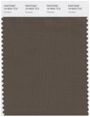 Pantone Smart 19-0820 TCX Color Swatch Card | Canteen