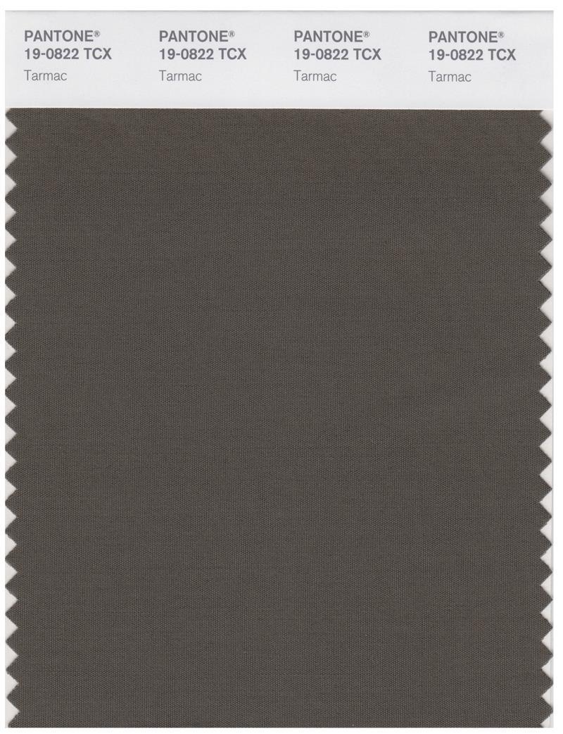 Pantone Smart 19-0822 TCX Color Swatch Card | Tarmac | Magazine