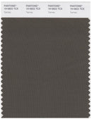 Pantone Smart 19-0822 TCX Color Swatch Card | Tarmac