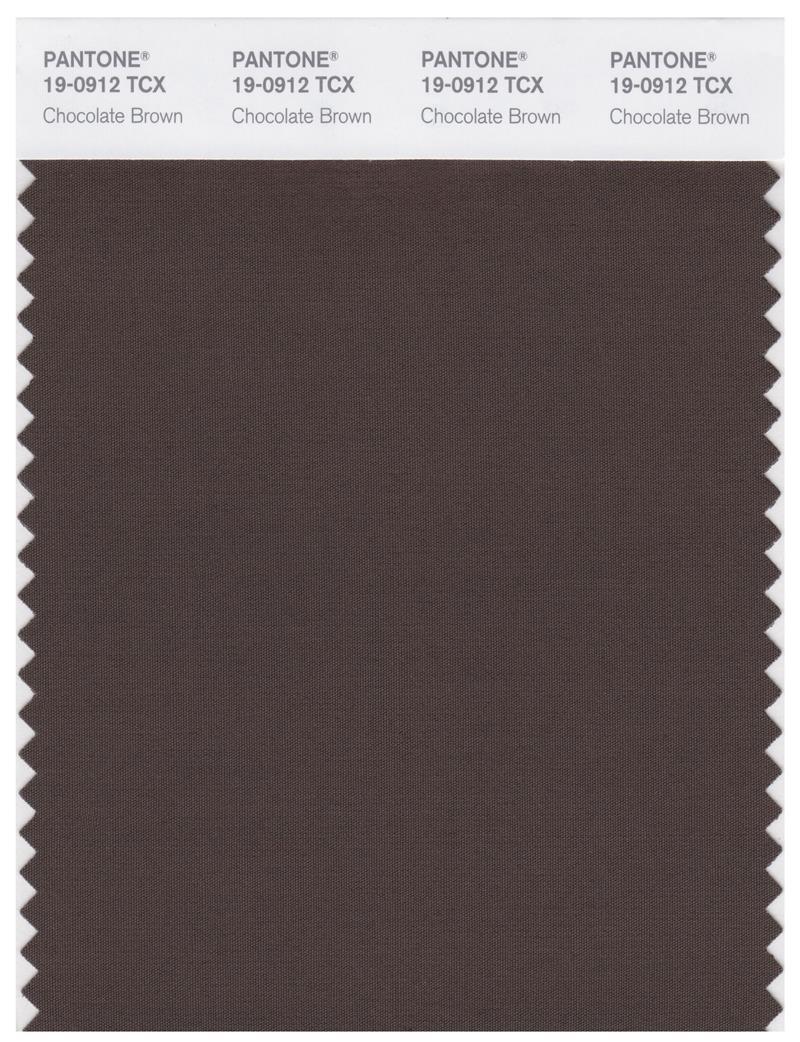 Pantone Smart 19-0912 TCX Color Swatch Card | Chocolate Brown