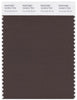 Pantone Smart 19-0912 TCX Color Swatch Card | Chocolate Brown