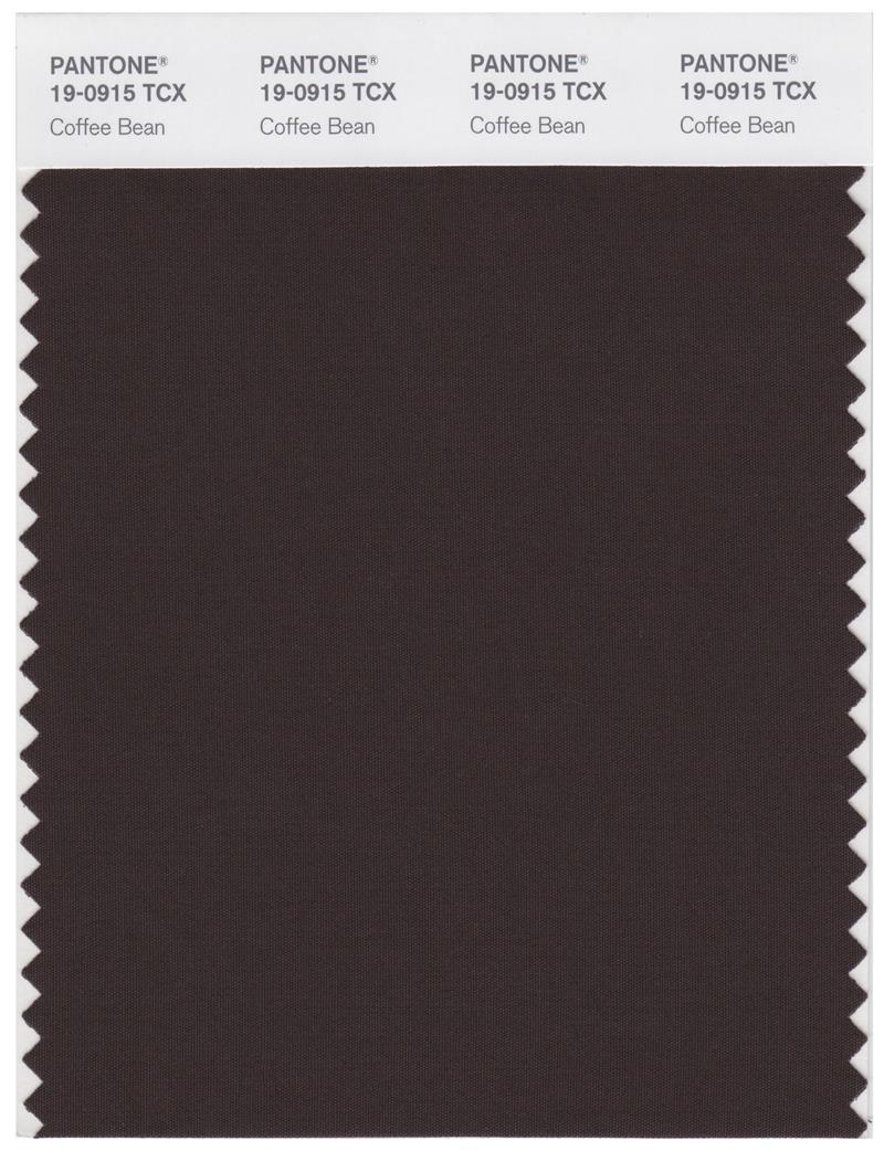 Pantone Smart 19-0915 TCX Color Swatch Card | Coffee Bean