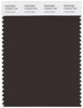 Pantone Smart 19-0915 TCX Color Swatch Card | Coffee Bean