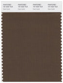 Pantone Smart 19-1020 TCX Color Swatch Card | Dark Earth