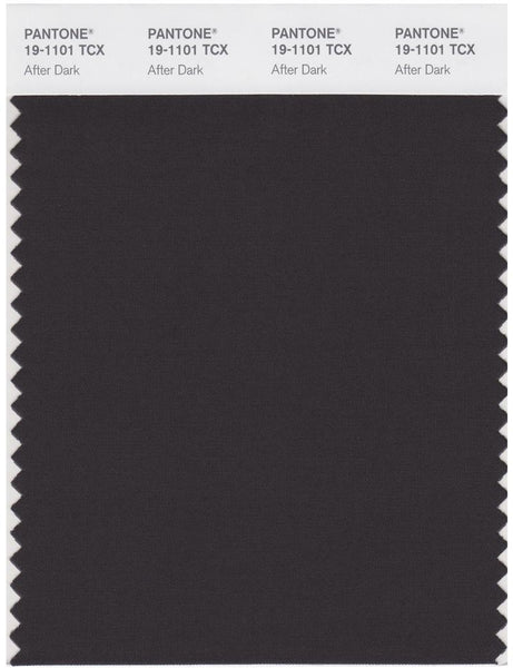 Pantone Smart 19-1101 TCX Color Swatch Card | After Dark