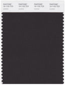 Pantone Smart 19-1102 TCX Color Swatch Card | Licorice
