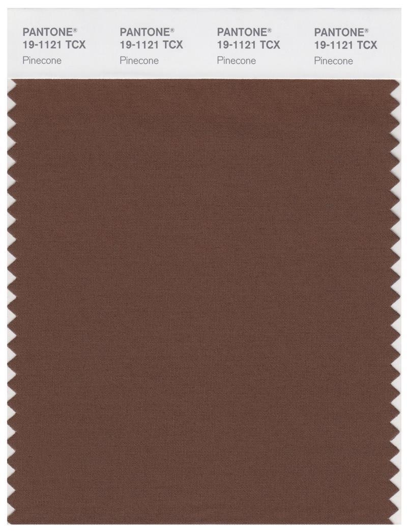 Pantone Smart 19-1121 TCX Color Swatch Card | Pinecone Pantone Smart 19-1121 TCX Color Swatch Card | Pinecone