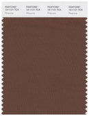 Pantone Smart 19-1121 TCX Color Swatch Card | Pinecone