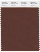 Pantone Smart 19-1220 TCX Color Swatch Card | Cappuccino