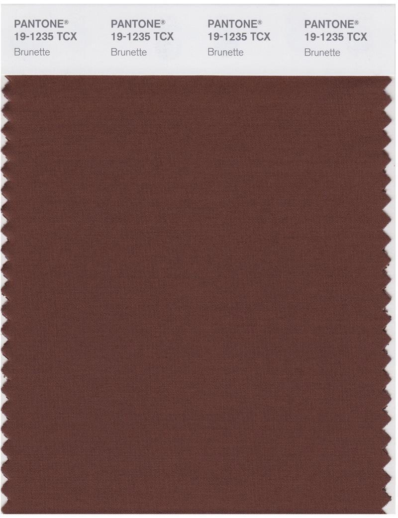 Pantone Smart 19-1235 TCX Color Swatch Card | Brunette