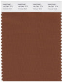 Pantone Smart 19-1241 TCX Color Swatch Card | Tortoise shell