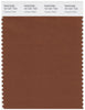 Pantone Smart 19-1241 TCX Color Swatch Card | Tortoise shell