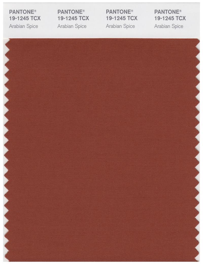 Pantone Smart 19-1245 TCX Color Swatch Card | Arabian Spice