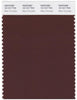 Pantone Smart 19-1317 TCX Color Swatch Card | Bitter Chocolate
