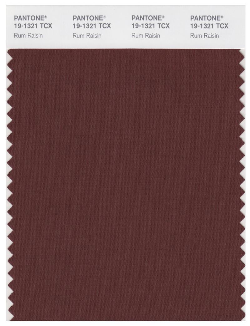 Rum Raisin Color Code Pantone Smart 19-1321 TCX Color Swatch Card | Rum Raisin | Magazine ...