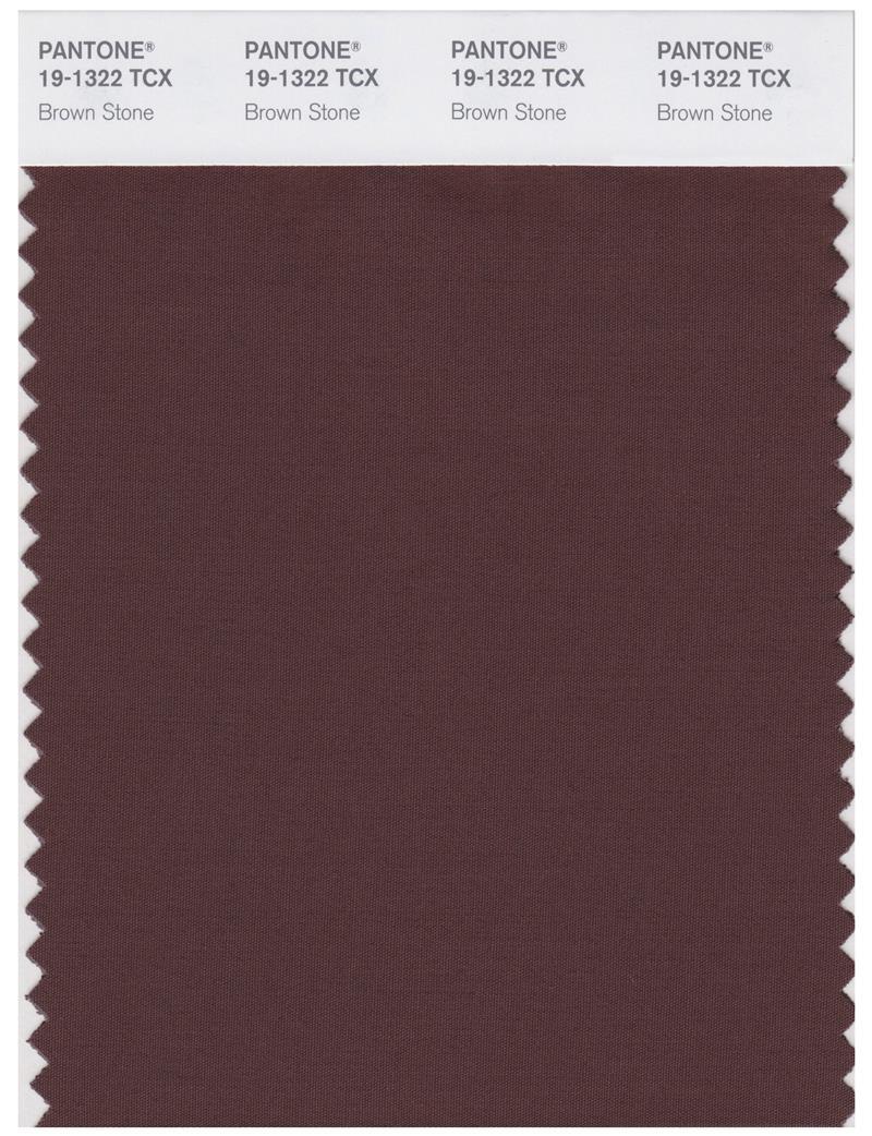 Pantone Smart 19-1322 TCX Color Swatch Card | Brown Stone