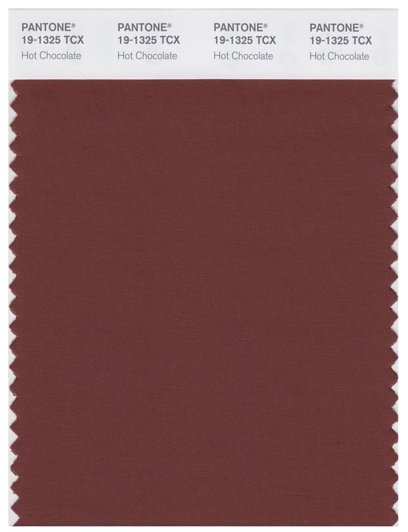 Pantone Smart 19-1325 TCX Color Swatch Card | Hot Chocolate