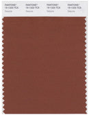 Pantone Smart 19-1333 TCX Color Swatch Card |Sequoia