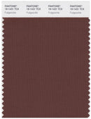 Pantone Smart 19-1434 TCX Color Swatch Card | Fudgesickle