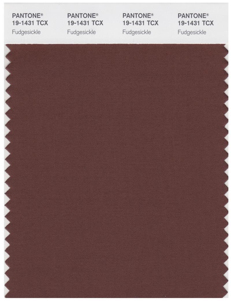 Pantone Smart 19-1434 TCX Color Swatch Card | Fudgesickle