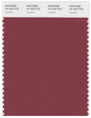 Pantone Smart 19-1533 TCX Color Swatch Card | Cowhide