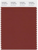 Pantone Smart 19-1540 TCX Color Swatch Card | Burnt Henna