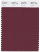 Pantone Smart 19-1617 TCX Color Swatch Card | Burgundy