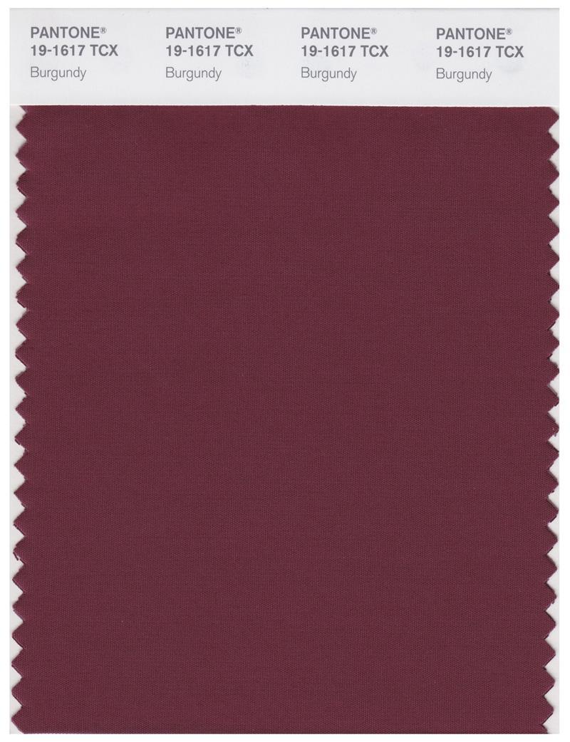 Pantone Smart 19-1617 TCX Color Swatch Card | Burgundy