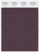 Pantone Smart 19-1620 TCX Color Swatch Card | Huckleberry
