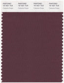 Pantone Smart 19-1621 TCX Color Swatch Card | Cataw Grape
