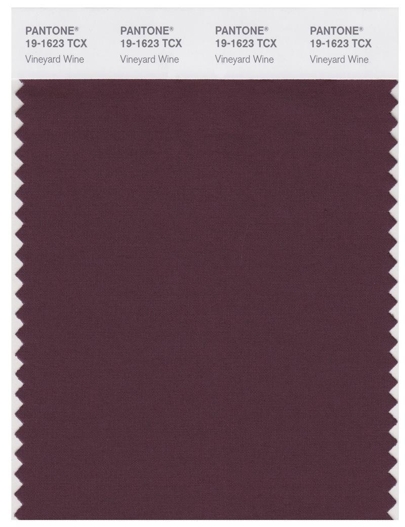 Pantone Smart 19-1623 TCX Color Swatch Card | Vineyard Wine