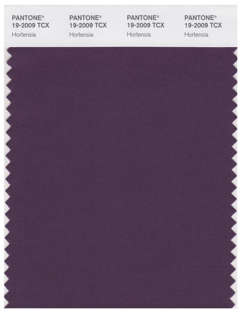 Pantone Smart 19-2009 TCX Color Swatch Card | Hortensia