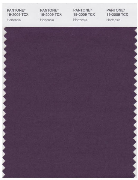 19-2009_hortensia_grande.jpg?v