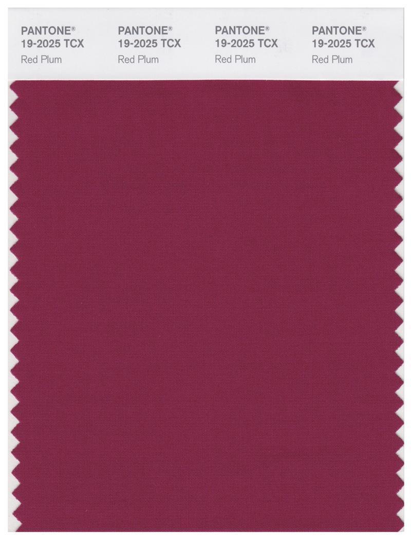 Pantone Smart 192025 TCX Color Swatch Card Red Plum Magazine Cafe