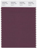 Pantone Smart 19-2311 TCX Color Swatch Card | Eggplant