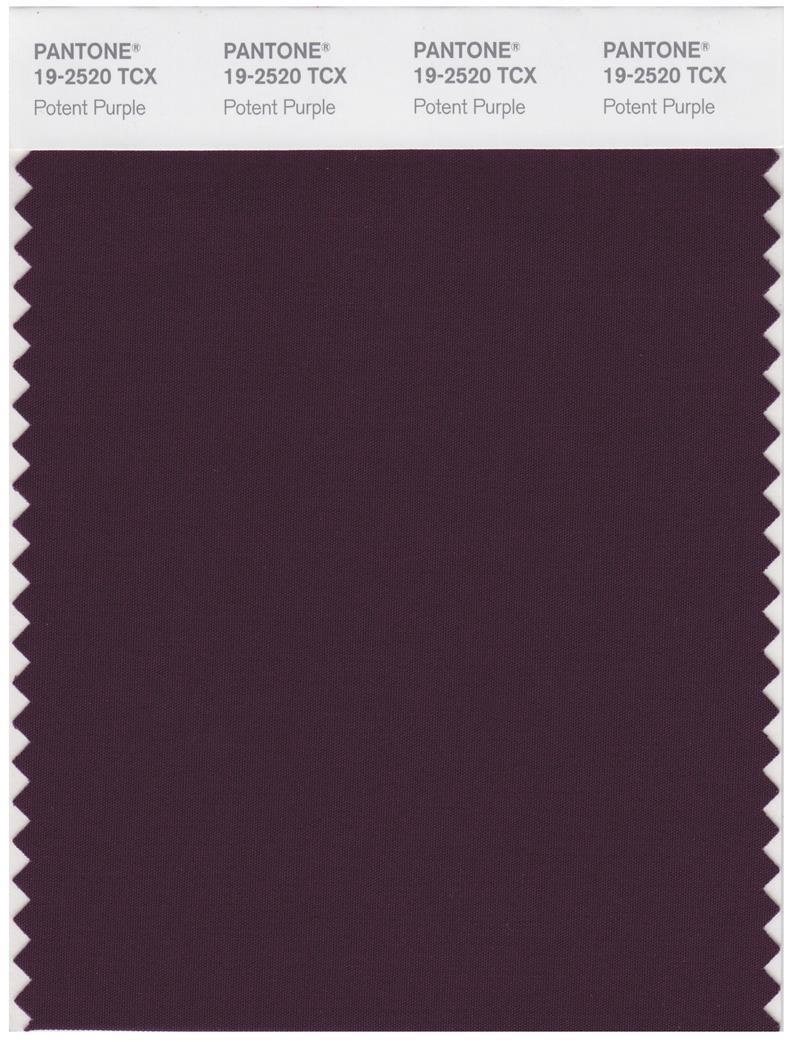 Pantone Smart 19-2520 TCX Color Swatch Card | Potent Purple