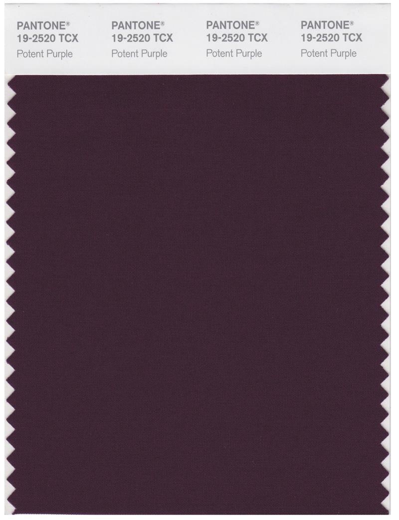 Pantone Smart 19-2520 TCX Color Swatch Card | Potent Purple