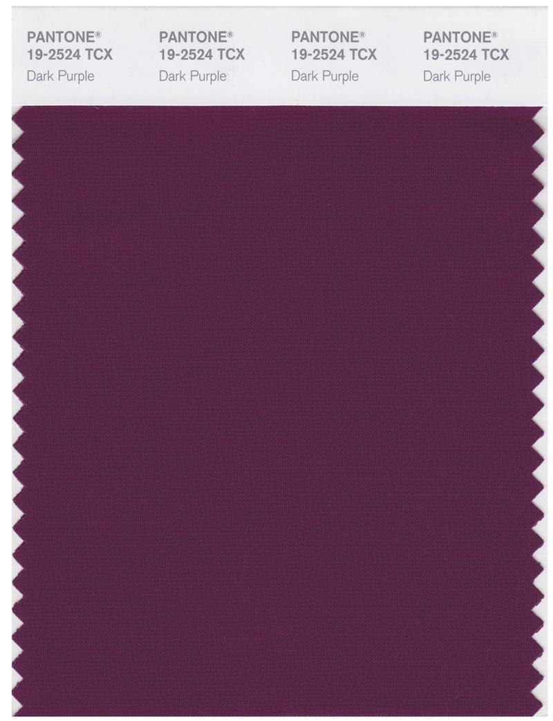 Pantone Smart 19-2524 TCX Color Swatch Card | Dark Purple